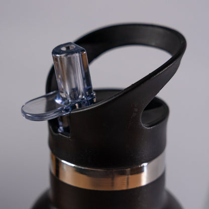 Stainless Steel Bottle